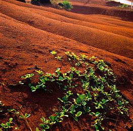 索尼前高管：游戏不是一次性的东西，应该保存下去